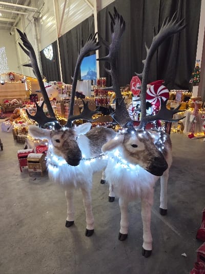 The image depicts an indoor scene within a commercial establishment in Blainville-sur-Orne, France, configured for holiday retail. In the foreground, two large, standing reindeer figurines serve as primary subjects. Both are covered in white and brown faux fur, possess prominent dark, multi-pronged antlers, and are adorned with strings of small, illuminating white LED lights wrapped around their necks. The reindeer on the left is positioned slightly forward and to the left of the second reindeer. The floor is a grey, unpolished concrete surface.
The background features extensive Christmas-themed displays. To the left, a wooden structure resembling a small cabin, decorated with white string lights, is visible amidst various festive items and smaller decorative pieces. Above, a vertical string of white fairy lights hangs from the ceiling. To the right, multiple shelves and tables display a variety of holiday merchandise, including items in clear cylindrical packaging, a large red and white striped peppermint swirl decoration, and a red stop-sign shaped decoration featuring a reindeer silhouette. A dark fabric curtain forms a backdrop behind these displays, with a large blue graphic depicting a snowy mountain peak partially visible through it. The ceiling structure, composed of white industrial beams and lights, is observable at the top of the frame. No individuals are present in the image. The scene is static, devoid of active interactions.