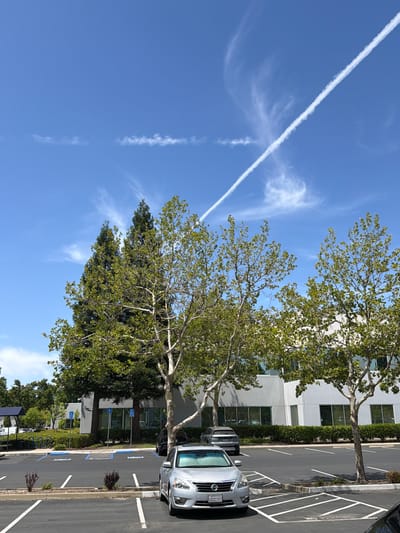 The image captures a bright, sunny day in what appears to be an office park or commercial area in Rancho Cordova, United States of America. The sky is a clear, vibrant blue, marked by a distinct white contrail from an airplane, which stretches diagonally across the frame. Below the sky, lush green trees with light-colored bark are prominent, their branches reaching out and casting shadows.
In the mid-ground and foreground, a paved parking lot with white parking lines is visible. Several cars are parked, including a silver SUV or crossover vehicle in the foreground, its front end facing towards the right. Further back, other vehicles are parked, and blue-and-white parking signs for disabled parking are visible. A row of green bushes lines the edge of the parking lot, separating it from a modern, multi-story building with numerous windows. The building's facade is a light color, reflecting the sunlight.
The scene is likely during daylight hours, given the bright sunlight and clear sky. The presence of the contrail suggests air traffic. The overall atmosphere appears calm and ordinary, typical of a weekday in a business setting. No people are clearly visible in the frame, focusing the attention on the environment and vehicles. The image is oriented vertically, with the sky occupying the left side and the ground features on the right.
