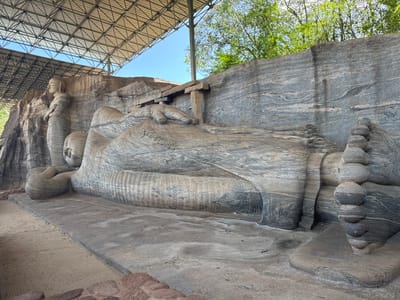 The image showcases a large reclining Buddha statue carved into a rock face, located in Polonnaruwa, Sri Lanka. The statue is gray with horizontal striations. A smaller standing figure is carved into the rock to the left of the reclining Buddha. A modern metal roof structure provides shade over the statues. The sky is visible behind the roof, along with some green trees. The foreground consists of a concrete base upon which the statue lies, and some loose rocks.