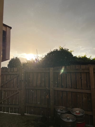 An outdoor scene in Sigglesthorne, United Kingdom, is depicted under bright, low-angle sunlight. The upper two-thirds of the frame show a sky with scattered clouds and a prominent sun on the left, creating a significant lens flare and backlighting effect. Numerous small, bright particulate specks are visible throughout the air, illuminated by the sunlight.

The middle ground is dominated by a weathered wooden plank fence, extending across the width of the image. A wooden gate, consistent in construction with the fence, is present on the left side of the fence line. Above the fence, dense green foliage and the tops of trees are visible. A light-colored, angular structure is partially visible on the far left edge of the frame.

The lower right foreground contains three metallic kegs, likely beverage containers, resting on the ground. One keg features a red base. Near the center of the lower frame, a shovel is leaned against the wooden fence, and another object is suspended from the fence panel to its left. The ground immediately in front of the fence appears to be a mix of dirt and sparse vegetation. No human figures are present.