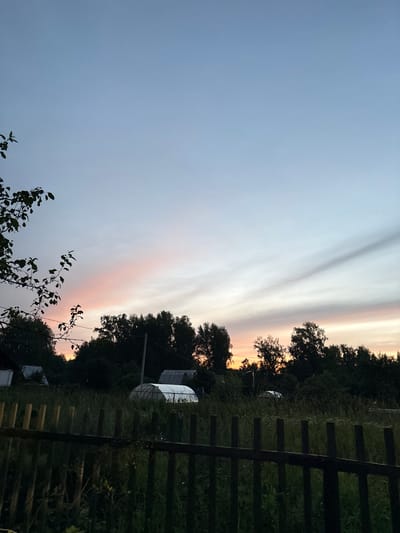 A rural landscape is depicted at dusk in Dubrovino, Russia. The sky is a gradient of pale blue to soft pink and orange hues, with streaks of darker gray clouds. In the foreground, a dark wooden fence is visible, partially obscured by tall, green grass and vegetation. Behind the fence, a line of dark green trees forms a dense treeline. Within the treeline, several structures are partially visible, including what appears to be a greenhouse with a white, arched covering and other smaller buildings with sloped roofs. The lighting suggests either early morning or late evening. A tree branch with green leaves extends from the left side of the frame into the upper portion of the image.