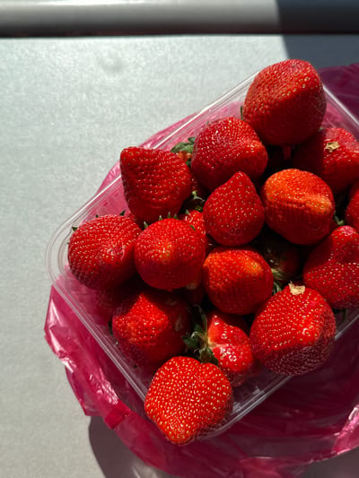 The image shows a clear plastic container filled with fresh strawberries. The strawberries are red and appear ripe. The container sits on a light gray surface, and a portion of a pink plastic bag is visible behind it. The lighting suggests a bright, sunny day. The location in Severnyi, Russia is not discernible from the image.