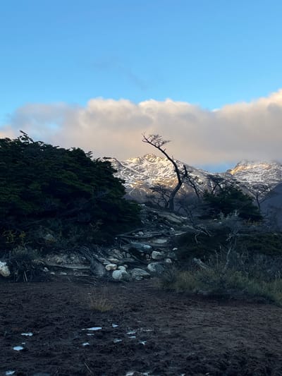 The image depicts a mountainous landscape, possibly located near Unknown, Argentina, given the geography. The foreground consists of a rocky, uneven terrain covered with dense, dark vegetation and a bare, angled tree trunk. To the left, a mountain range rises, partly obscured by a cloud formation. The peaks are touched by sunlight, highlighting areas of snow and rock. The sky transitions from a clear blue to a hazy gray near the mountain.