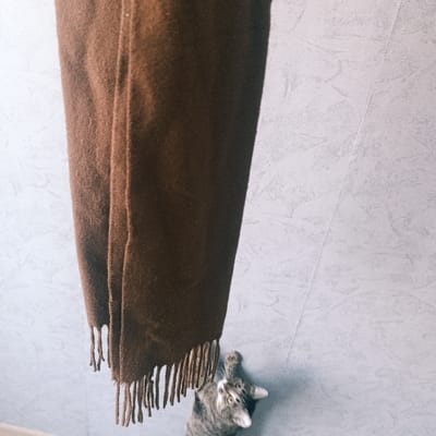 A thick, brown, fringed scarf hangs against a light grey, mottled wall. The scarf takes up most of the frame, with the fringe at the bottom. A grey tabby cat is lying on its back near the bottom of the image, appearing to reach up towards the scarf fringe. The cat's head is tilted upwards.