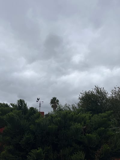 The image depicts a cloudy sky over Llavallol, Argentina. In the foreground, there are evergreen trees on the right, and a deciduous tree in the upper right corner. A palm tree and a weather vane are also visible against the sky.