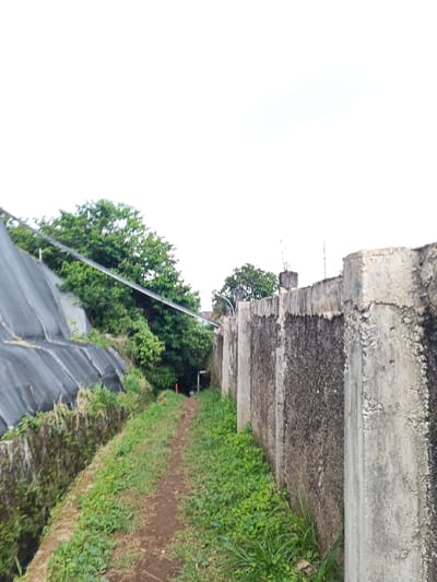 This image depicts a narrow, unpaved dirt pathway in Koipa, Papua New Guinea, viewed from a low angle under an overcast sky. The path, approximately 1.5 meters wide, is covered with green grass and weeds and recedes into the distance, appearing to narrow or curve slightly.
To the immediate right, a weathered concrete retaining wall runs parallel to the path. This wall, composed of multiple vertical sections or pillars, shows significant discoloration with dark, mottled stains and exposed aggregate textures. Its top edge is irregular, with small metallic rods protruding from various points.
To the left of the path, an embankment slopes upward, partially covered by a black mesh or netting material, likely for erosion control. Green foliage and small trees grow on and above this slope. A lower concrete or stone wall forms the base of this embankment, bordering the pathway.
Overhead, a single black or dark cable runs diagonally across the frame from the upper left, above the path. Dense green trees and vegetation are visible in the mid-ground, beyond the embankment, obscuring any structures behind them.
In the far distance, at the visible end of the path, a faint, light-colored human-shaped figure is barely discernible near a darker, tunnel-like opening or passage. The figure's details, actions, and interactions are indistinguishable due to distance and resolution. A small, orange-red object, possibly a marker or pipe, is visible on the left side of the path further down. The overall lighting is diffused, consistent with an overcast day.
