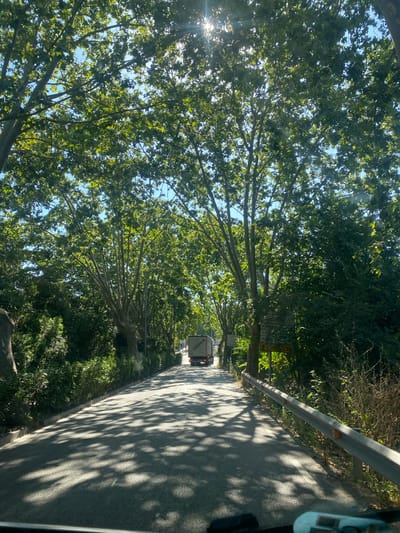 The image captures a sun-dappled road lined with trees in Montcada i Reixac, Spain. The viewpoint appears to be from inside a vehicle, looking out at the scene. Lush green foliage from tall trees drapes over the road, casting intricate shadows on the asphalt. The sun's rays pierce through the leaves, creating bright highlights and a sense of a clear, sunny day.

A white truck with some lettering on the back is visible on the road, traveling away from the viewer. On the right side of the road, a metal guardrail runs alongside, with small orange reflectors. A few road signs with directional arrows and text are also present, indicating directions to various locations, although the text is difficult to read clearly. The overall setting is a serene, tree-lined road, likely in a semi-rural or suburban area. The time of day appears to be late morning or early afternoon, given the angle of the sun and the length of the shadows. The atmosphere conveyed is one of peaceful travel through a verdant landscape.