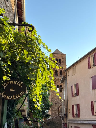 This image depicts a view of a narrow street in Moustiers-Sainte-Marie, France, bathed in the warm light of what appears to be late afternoon or early morning. Lush green vines with broad leaves cascade down from above, partially obscuring a dark, oval-shaped sign that reads "Bonlie à Moustiers" in white lettering. The sign is suspended from a wrought-iron bracket.
In the background, a weathered stone bell tower rises against a clear blue sky. The tower features multiple arched openings and a peaked roof topped with a cross. Adjacent to the tower, a building with a light-colored facade and red shutters is visible. The building has several windows, some with the shutters open and others closed.
The foreground is dominated by the vibrant green foliage and the rustic sign, suggesting a charming, possibly artisanal, establishment. The overall impression is one of old-world charm and a serene, sun-drenched atmosphere characteristic of a French village. There are no people visible in the frame. The architecture and the presence of the bell tower point to a historical and likely religious site within the town.