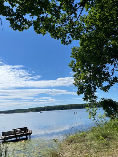 The image depicts a serene lake scene under a bright blue sky with scattered white clouds. In the foreground, lush green grass and reeds line the shore, with a wooden dock extending into the water on the left side. The dock features a bench and appears weathered. A small red boat with a few people on board is visible in the distance on the lake. The far shore of the lake is lined with a dense forest. The image appears to be taken in the city of Vyazzevsky Selsoviet, Belarus, given the context provided by the prompt.