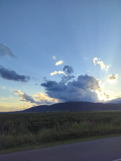 This is a landscape photograph taken at eye-level, depicting a rural scene in Manolovo, Bulgaria. The sky dominates the upper two-thirds of the image, characterized by a gradient of blue with scattered clouds. Shafts of sunlight are breaking through a large, dramatic cloud formation on the right side of the frame, illuminating parts of the sky with a golden glow.

Below the sky, a dark, silhouetted mountain range forms the horizon line. In the foreground, a vast field of green vegetation, likely crops or wild grasses, stretches across the landscape. Some smaller pink flowers are visible within the field, suggesting it might be a cultivated area like a rose field, common in the region. A paved road runs along the bottom edge of the image, with a grassy verge separating it from the field. The overall lighting suggests it is either late afternoon or early evening, with the sun beginning to set. There are no people or animals visible in the frame.