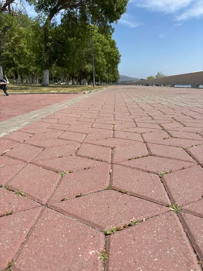 This media file shows a view of a paved walkway in Oskemen, Kazakhstan. The walkway is paved with red hexagonal bricks and a lighter colored border runs alongside it. The bricks are worn and have small patches of grass growing in the cracks between them, suggesting an outdoor setting that may not be meticulously maintained.
To the right of the walkway, there is a grassy area with several trees that have full green canopies, indicating it is likely daytime during a warm season, possibly summer or late spring. The trees are in front of a distant, hazy landscape, which appears to be a body of water or valley with a faint mountain range in the background. The sky is a clear blue with some wispy white clouds.
In the upper right corner of the image, a dark object that appears to be the back of a bench is visible, and a hint of black fabric, possibly clothing, is also visible. There are no people clearly depicted in the scene, though the presence of the bench suggests it's a public space. The image is taken from a low angle, looking down the length of the walkway as it recedes into the distance, creating a sense of perspective. There is no visible text in the media file. The overall impression is one of a calm, outdoor scene in a park or public pathway.
