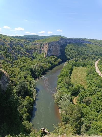 This is a high-angle, wide shot of a scenic landscape in Karlukovo, Bulgaria. A wide, dark green river flows through the center of the frame, carving a path through a lush, tree-covered valley. On the left, sheer, light-colored cliffs rise steeply, interspersed with dense green vegetation. The right side of the valley features rolling hills covered in dense trees, with a section of grassy field. A curved railway track is visible in the upper right portion of the image, running alongside the treeline. The sky above is a clear, vibrant blue with a few scattered white clouds. The overall impression is one of a wild and natural environment bathed in bright sunlight.