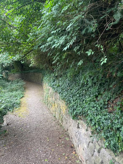 The image depicts a narrow, gravel pathway lined with stone walls and lush vegetation, likely located in Liestal, Switzerland. The path curves gently into the distance, with dense greenery of trees, bushes, and ivy overhanging the walls and path edges. The left side is dominated by a variety of tree leaves. The stone walls vary in color and texture, suggesting different stages of construction or aging. The path is composed of gravel, with hints of compacted dirt in some areas. The lighting suggests an overcast day, with diffuse light permeating the scene. There are no people or visible subjects in the frame. The overall environment is reminiscent of a garden path or a walkway through a wooded area.