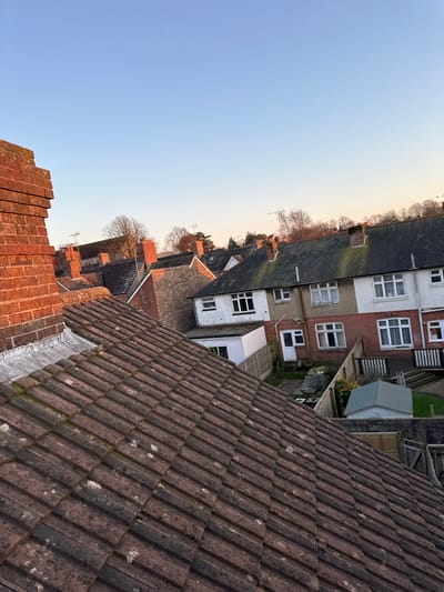 The image presents an elevated, downward-angled view over residential rooftops in Dorchester, United Kingdom. In the immediate foreground, a reddish-brown tiled roof slopes from left to right, showing widespread moss and lichen accumulation. To the far left, a brick chimney stack with grey lead flashing is partially visible.
Below the foreground roofline, a row of terraced houses forms the midground. These structures feature varied facades, including exposed red brick and white rendering, with dark tiled roofs that also display patches of green organic growth. White-framed windows are visible on both ground and upper floors. Behind these houses, several enclosed back gardens are discernible, characterized by wooden fences, some tiered landscaping with wooden steps, and a small grey garden shed.
The background consists of more distant rooftops, a cluster of bare deciduous trees, and a faint utility mast or pole on the right horizon. The sky is clear, displaying a light blue color that transitions to a warmer, lighter hue near the horizon, suggesting early morning or late afternoon lighting conditions. No people are present in the scene.