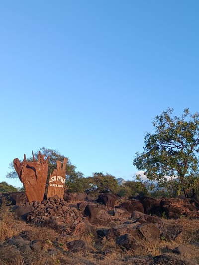 In Sukorejo, Indonesia, a rustic sign made of weathered wood stands against a backdrop of a clear blue sky. The sign is carved with the words "SAVANA CANGKRING" in white lettering. It is placed on a mound of dark, rough-hewn rocks. Surrounding the sign are more scattered rocks and dry, yellowish grass, hinting at a savanna landscape. To the right of the sign, a large tree with green foliage stands prominently. In the distance, lush vegetation and mountains are visible under the bright sky. The scene appears to be set during daytime, with sunlight illuminating the landscape.