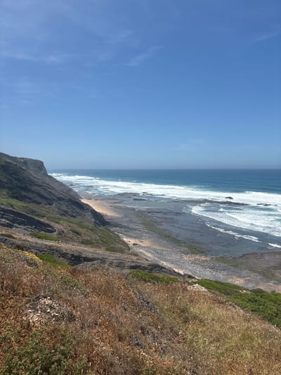 The image displays a panoramic view of a rugged coastal landscape situated near Aljezur, Portugal, under a clear, bright blue sky with minimal wispy cirrus clouds. The scene is observed from an elevated perspective, looking towards the vast expanse of the Atlantic Ocean.

The upper third of the image is dominated by the blue sky. Below the horizon, the ocean exhibits varying shades of blue, with numerous white-capped waves breaking offshore and closer to the coastline, indicating active surf. Along the shore, extensive dark grey rock shelves, partially covered with green marine growth, are exposed, suggesting a low tide. A small, light-colored sandy beach is visible, nestled at the base of a large, steep cliff on the left.

The left side and foreground of the image feature a prominent, dark grey rocky cliff face, characterized by visible geological strata, which slopes down towards the sea. This cliff is sparsely vegetated with a mix of dry brown grasses, scrub brush, and some greener foliage. The immediate foreground consists of dense, dry, straw-colored grasses and smaller green plants, with a few yellow wildflowers in the bottom left corner. A small mound of light-colored rocks is centrally located within the dry vegetation in the mid-foreground.

No discernible human figures, animals, or man-made structures are visible within the captured scene. The lighting suggests direct sunlight, indicating a daytime setting, and the overall environment appears arid and natural.