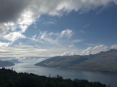 The image displays a panoramic view of a fjord landscape in Flostrand, Norway, under a partly cloudy sky. The foreground is dominated by dark, dense vegetation, likely trees and shrubs, creating a natural frame for the scene. Beyond the vegetation, a wide, calm body of water, the fjord, stretches into the distance.

The fjord is flanked by rugged, mountainous terrain. The mountains on the right side of the image are rocky and appear to be sparsely vegetated, with some patches of snow or ice visible on their slopes. The mountains on the left side are more distant and appear as darker, silhouetted forms against the horizon.

The sky is a mix of bright blue and grey clouds. Some clouds are large and puffy, while others are thin and wispy, forming streaks across the sky. The light suggests it is daytime, possibly late morning or early afternoon, with the sun intermittently breaking through the clouds, casting variations in illumination on the landscape. The overall impression is one of a serene, natural environment characteristic of the Norwegian coast. There are no people or man-made structures prominently visible in the image.