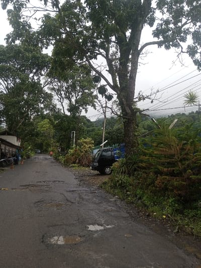 A wet, pothole-ridden road winds through lush greenery. Buildings and parked vehicles line the left side of the road, while dense foliage and a tall tree dominate the right. A black truck is parked amidst the vegetation. Hills shrouded in mist rise in the background, adding depth to the overcast scene. Utility poles and wires cross the sky.