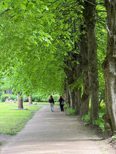 The image depicts a serene, tree-lined avenue in what appears to be a park or garden in Tokkari-Lend, Russia. The view is down a wide, unpaved dirt path that recedes into the distance, flanked on both sides by rows of mature trees. These trees have thick, textured trunks and an abundance of lush, vibrant green leaves, suggesting either spring or early summer. The foliage is so dense it forms a natural canopy over parts of the path.

Two individuals are visible walking along the path. One person, closer to the foreground, is seen from behind, wearing a dark top and light-colored trousers. Further down the path, another person is seen wearing a dark jacket and a red hat. To the right of the path, two cylindrical stone or concrete pillars or monuments stand on a patch of grass. A third person is partially visible seated on a bench to the left of these pillars, nestled among the greenery.

The path shows natural wear, with soft light and shadow patterns, indicating a mild, possibly overcast day. The overall atmosphere is peaceful and calm, suggesting a recreational setting for a leisurely walk or rest. No visible text is present in the image.