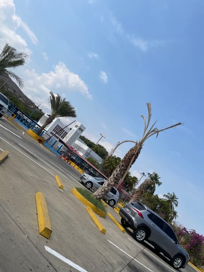 This daytime image captures an outdoor parking lot in Puerto La Cruz, Venezuela, presented at an oblique angle that tilts the horizon. A bright blue sky with a few wispy white clouds dominates the upper portion of the frame, suggesting clear weather.

In the foreground, a prominent dead or dormant palm tree with dry, spiky fronds extends upwards from the left. To its right, a grey SUV, likely a Toyota Corolla Cross, is parked with its rear facing away from the viewer, its wheels resting against a yellow concrete parking barrier. White lines mark the parking spaces on the asphalt ground, where other yellow barriers are also visible. Further into the parking lot, a silver car is partially visible on the left, and another silver vehicle is parked further along the row.

In the mid-ground, a white, multi-story building with a modern design and blue trim or fencing is visible. This structure could be a terminal or public facility. Surrounding the building and lining the parking area are numerous green palm trees and vibrant purple flowering plants, likely bougainvillea, adding a tropical feel to the scene. Several streetlights are also present.

The background features a large hill covered with scattered vegetation and what appear to be small, distant structures, rising under the sunny sky. No people are visible, and there is no discernible activity beyond the parked vehicles. The bright light and distinct shadows indicate it is likely midday. No legible text is visible on any signs or vehicles.