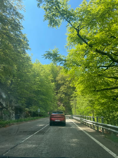 A downward-angled, medium shot captures a narrow asphalt road winding through a dense forest under a clear blue sky. The road, marked by a white line and a metal guardrail on the right, features a red car positioned in the right lane. The surrounding landscape is characterized by lush green trees that form a canopy overhead. The location is a road near Barziya, Bulgaria, identifiable by the vehicle license plate "CT 3364 TM". There are no visible people in the image.