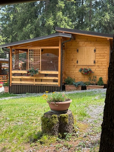 In Borno, Italy, a wooden cabin with a covered porch stands amidst a natural setting. The cabin features wooden siding and a pitched roof with dark trim. A window with wooden shutters is visible on the side of the cabin, adorned with a planter box holding red flowers. The porch is partially enclosed with wooden railings and lattice screens, and a planter box with red flowers is also present on the porch. In front of the cabin, a moss-covered tree stump holds a terracotta pot filled with vibrant orange and pink flowers. The ground is covered in grass, gravel, and small pebbles. Mature trees with dense green foliage form a backdrop to the scene, suggesting a woodland or mountainous environment. No people are visible in the image.