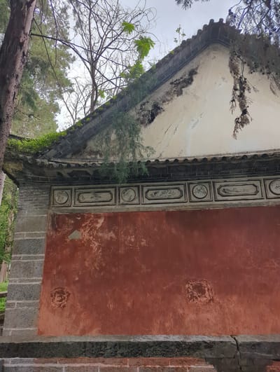The image shows the exterior of a weathered traditional Chinese building in Dali City, China. The building has a tiled roof with some overgrowth of vegetation. The wall features a large section of reddish-brown plaster, chipped and faded in places, with two circular impressions. Above this is a decorative frieze with multiple framed panels containing monochrome paintings of landscapes and figures. The building is constructed with gray stone blocks on the left side. The background shows trees and a cloudy sky.