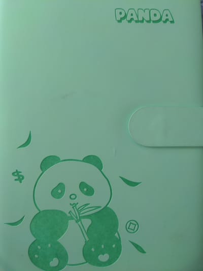 The image displays a light green folder with a raised embossed design. The word "PANDA" is prominently displayed in raised letters at the top right of the folder. Below this, a cartoon panda is depicted in a green embossed outline, holding and eating a stalk of bamboo. The panda has round ears, eyes, and a mouth, and its body is stylized with large, rounded shapes. To the left of the panda, there is a raised embossed dollar sign symbol and several stylized green leaves. The folder has a rectangular flap closure on the right side. The lighting suggests an indoor environment, likely a well-lit room, but the specific location within the city of Kamen, Germany, cannot be determined from the image alone. There are no people visible in the image. The overall impression is of a children's stationery item or folder.