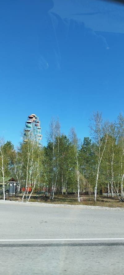 The image captures a roadside view in Oktemtsy, Russia, featuring a Ferris wheel in the background. The sky is clear and blue. In the foreground, there is an asphalt road. Behind the road, a line of birch and evergreen trees partially obscures the Ferris wheel. A small, weathered building with a wooden frame is visible behind the trees. The Ferris wheel has multi-colored carriages, primarily red, yellow, and blue. The photo appears to be taken from inside a vehicle, indicated by a subtle reflection in the upper portion of the image.