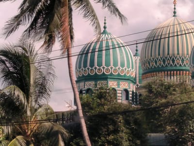 The image shows two dome-shaped structures with green and white striped exteriors, likely part of a mosque or religious building, partially obscured by lush tropical foliage. The photograph appears to be taken from a low angle, with palm trees dominating the left side of the frame, their fronds further obscuring the view. Electrical wires crisscross the scene in the foreground. The overall lighting suggests an overcast day. Based on the location, this might depict a mosque within the city of Ujong Duabelas, Indonesia.
