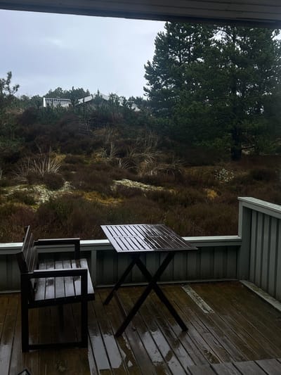 The image shows a wooden deck with a wooden table and chair on it. The deck is wet from rain, and the table and chair are dark brown. The deck is surrounded by a wooden railing. The background shows a view of a field of bushes, some of them with moss, and a few trees in the distance. The scene is located in Blåvand, Denmark, at the coordinates 55.558, 8.157. The wooden railing is grey and the field behind the railing is covered in dense foliage.  The table is set up with a wooden chair on the left, and the railing runs to the right of the table.  The wooden slats of the deck and table are wet and reflecting the light.  There is no one in the image.  The wooden railing is on the right side of the image. The wooden table and chair are centered in the image. The view of the field and trees are in the background of the image.  The color of the image is dominated by brown, gray, and green hues.