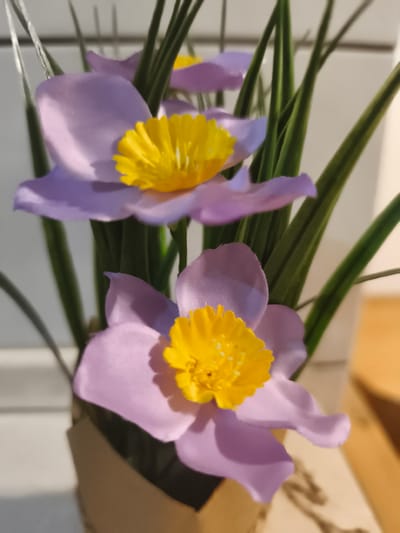 This media file features a close-up of artificial purple flowers with bright yellow centers. The flowers are arranged in a pot, partially visible at the bottom, wrapped in brown paper or kraft material. Green, blade-like artificial foliage is interspersed among the flowers, adding to the floral arrangement. The background is softly blurred, showing hints of a white surface and a warmer, beige-toned area, suggesting an indoor setting.
The lighting appears to be from above and to the side, creating soft shadows on the petals and leaves, indicating it might be daytime with artificial or natural light. There are no people or animals visible. The focus is entirely on the floral arrangement. The overall mood is calm and decorative, highlighting the artificial flowers. No visible text is present in the image. The provided location context is Słupia pod Bralinem, Poland, which is not directly discernible from the visual content of the image itself but provides a geographical reference for the setting.