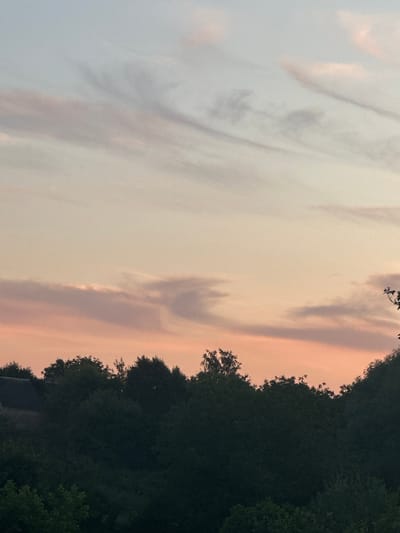 The image depicts a twilight sky above a dense line of dark green trees. The sky is painted with soft hues of pink, peach, and pale blue, with wispy clouds streaking across the upper portion. The silhouette of a building with a dark roof is visible on the far left, partially obscured by the trees. The overall scene is tranquil and natural, suggesting a rural or suburban setting. There is no indication of the city of Zvenyhorodka, Ukraine, within the image itself.
