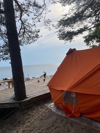 In Luzhki, Russia, an orange tent is pitched on a sandy shore near a wooden deck. The tent, positioned on the right side of the frame, is partially in shadow. A large tree trunk stands to the left, its branches extending overhead, partially obscuring a bright sky with scattered clouds. In the background, a body of water stretches to the horizon, with several people visible on the beach and in the water. One person stands near the water's edge, while another appears to be on a paddleboard further out. The wooden deck, decorated with colorful paint splatters, is located between the tree and the beach. A table with some items on it is also visible on the deck. The scene depicts a recreational area by the water on a day with moderate sunlight.