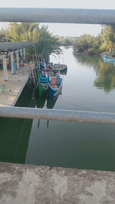 The image depicts a tranquil canal scene in Deah Pangwa, Indonesia. Several colorful fishing boats are moored alongside a concrete dock, their reflections shimmering on the calm water. Lush green palm trees and other foliage line the banks of the canal, creating a verdant backdrop. The sky is bright and clear, suggesting a pleasant day. The scene conveys a sense of peaceful maritime life.