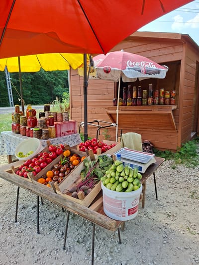 An outdoor market stall in Scoreni, Moldova, displays a variety of fresh produce and preserved goods. A weathered wooden stand supports several crates overflowing with ripe red tomatoes, darker heirloom tomatoes, and a few orange tomatoes. To the right of the tomatoes, a wooden crate holds several beets with their leafy green tops. In front of the stand, a white bucket is filled with numerous cucumbers, and a silver digital scale sits on a small wooden table, accompanied by a green cloth. Behind the produce, a table covered with a patterned cloth is laden with an assortment of glass jars filled with preserved vegetables and fruits, with some pink plastic crates also visible. A red and yellow umbrella provide shade over the market stall, and a separate red umbrella with a Coca-Cola logo is also present. The stall is situated on a gravel path next to a rustic wooden building. Trees and foliage line the background, suggesting a rural or semi-rural setting. The sky above is partly cloudy. No people are visible in the image.