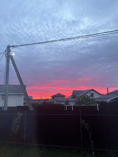 The image depicts a vibrant sunset over a residential area in Dolche Vita KP, Russia. The sky is dominated by vivid pink and orange hues, with scattered clouds reflecting the sunset's colors. In the foreground, a dark, horizontal fence runs across the frame, with a small, leafy sapling growing near its left side. Behind the fence, several houses with tiled roofs are visible, interspersed with trees. A concrete utility pole with electrical wires and a streetlamp is prominently positioned on the left side of the image, angled towards the sky. The overall scene captures a peaceful, twilight atmosphere in a suburban setting.