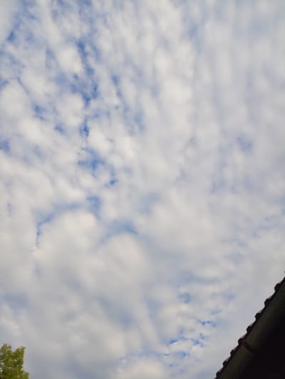 The image displays a partly cloudy sky with scattered cumulus clouds against a blue sky. The bottom right corner features the edge of a dark roof, likely a house or building. The bottom left corner shows a small portion of green foliage, suggesting the presence of trees or plants. The scene is devoid of any people or discernible actions. The lighting indicates it is daytime. There is no information within the image to specify its location within Shadrinsk, Russia.
