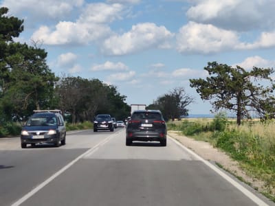 The image depicts a scene on a two-lane asphalt road with white dividing lines, likely in the rural area of Zgalevo, Bulgaria. The weather appears to be clear with a partly cloudy sky. On the road, several vehicles are traveling. In the foreground, a dark-colored SUV is in the right lane, and a dark-colored station wagon is in the left lane. Behind these vehicles, other cars and a truck are visible, all moving in the same direction. The roadside features a strip of dry grass and vegetation, with a line of trees and foliage bordering the road on both sides. Some trees are deciduous and some are evergreen. In the background, a flat, agricultural landscape stretches towards the horizon.