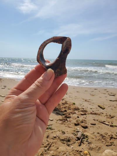A close-up shot shows a person's hand holding a brown, curved piece of what appears to be a shell or rock against a blurry background of the sea and beach. The hand is in focus, with visible skin texture and fingernails. The object held in the hand is irregularly shaped with a hole in the center. Behind the hand, the ocean stretches out with small waves and a shimmering surface reflecting sunlight. The beach in the background is sandy with scattered debris, including small stones and pieces of wood. The sky above is a clear blue with a few wispy white clouds. The location is identified as Chornomorske, Ukraine, suggesting a coastal scene.