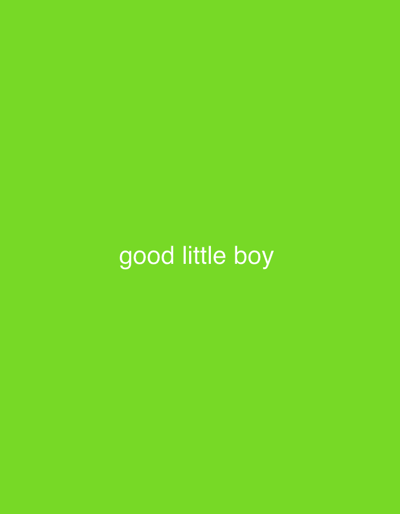 The image is a plain, bright green background with the white text "good little boy" centered on it. There is no discernible location in the city of Unknown, Ireland, or any other city. The image contains no people, subjects, objects, actions, or interactions. The environment is entirely digital and lacks any real-world characteristics.