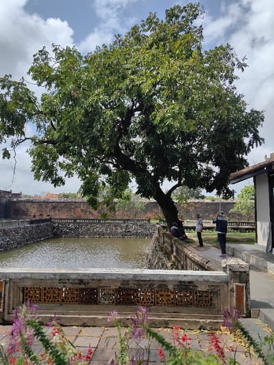 This image depicts an outdoor area within a historical or cultural complex in Phú Xuân Ward, Vietnam, under a partly cloudy sky with scattered white cumulus clouds.

In the immediate foreground, a weathered concrete and stone balustrade with ornate, rectangular, reddish-brown latticework patterns is visible. Directly behind this, a reddish-brown tiled or paved area contains several small flowering plants with slender stems and small purple and red blossoms, along with scattered dry leaves.

Beyond this foreground element, a rectangular, artificial pond or moat with placid, murky green water occupies the lower-mid section of the frame. The pond is bordered by sturdy walls constructed from rough, dark-grey stones, topped with lighter concrete coping and a simple balustrade.

On the far side of the pond, a ground area or path is present, largely shaded by a prominent, mature tree with a thick, gnarled trunk and dense green foliage that extends across much of the upper frame. Four individuals are situated on this path. One person, dressed in dark clothing, is seated on the pond's balustrade beneath the tree's canopy. To their right, two men stand: one in a light shirt and a hat, facing towards the seated individual; the other, in a dark jacket and light pants, stands slightly further right, holding a device resembling a camera or smartphone towards the pond. A fourth person, wearing a light blue jacket and light pants, stands further to the right, facing away from the pond, adjacent to a building.

The building, partially visible on the far right, features a dark, multi-tiered roof with ornate eaves and a light-colored wall. In the background, behind the pond and tree, a long, weathered red brick wall with dark coping runs horizontally across the scene, indicating a boundary or enclosure.