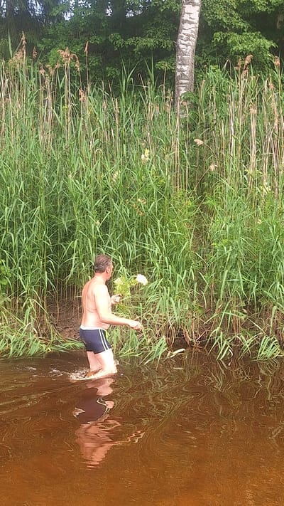 A shirtless man wearing navy swim trunks with white stripes is standing in murky, reddish-brown water up to his knees. He is holding a bouquet of white flowers in his right hand and appears to be wading through a reedy area along the bank of a body of water. The water surface is disturbed and reflects the man's torso and legs. Behind him, tall green reeds and dry grasses grow densely. A birch tree with white and black bark is visible on the right side of the frame, emerging from the reeds. The background consists of lush green foliage and trees, indicating a natural, undeveloped setting. The location is Vālodzes, Latvia.