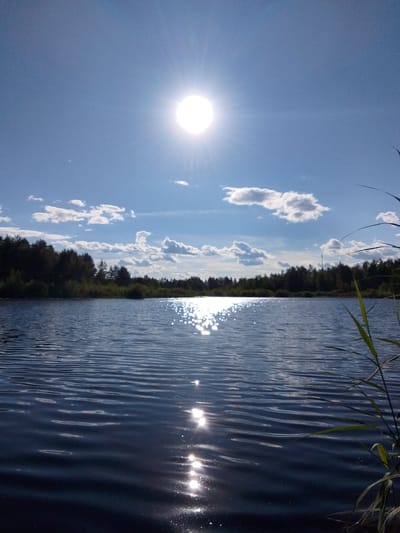 A bright, daytime, low-angle shot captures a serene lake scene under a partly cloudy blue sky. The sun, a brilliant white orb with visible rays, dominates the upper center of the frame. The water's surface is rippled, reflecting the sun in a dazzling display of light that stretches towards the viewer. A dark green, dense tree line forms a horizon across the middle of the image, separating the water from the sky. In the foreground, on the right side, a few blades of tall green grass reach up into the frame, slightly obscuring the view of the water. The location is identified as 1-Go Maya, Russia. There are no people or animals visible in the scene.