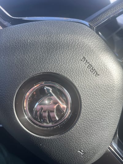The image displays a close-up, high-angle view of the central section of a black, textured car steering wheel. The material exhibits a fine, pebble-grain texture. Centrally embedded in the steering wheel is a circular, chrome-plated emblem featuring the Holden 'Lion and Stone' logo, which reflects bright, possibly sunlit, environmental elements. Above this emblem, the word "AIRBAG" is embossed into the steering wheel surface in capital letters, oriented upside down relative to the logo. A faint, stylized horn symbol is visible below the central emblem. Strong, direct illumination, consistent with sunlight, creates highlights across the textured surface and pronounced reflections on the chrome logo. No individuals or specific actions are depicted. The scene is confined to the vehicle interior, and there are no visual cues within the image to determine its precise location within the city of Lichfield, United Kingdom.
