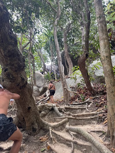 A landscape-oriented shot depicts a rugged terrain in Lam Kaen, Thailand, dominated by a dense network of tree trunks, roots, and boulders. A person wearing black shorts is seen climbing over a root-covered slope. Another person's leg is partially visible in the foreground, wearing black and grey patterned shorts with the "FILA" logo. Overhead, tree branches and foliage obscure the sky, with glimpses of a structure visible in the distance.