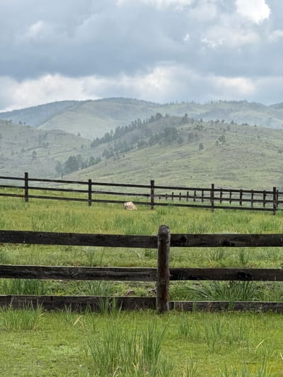The image depicts a rural landscape with rolling hills covered in greenery and scattered trees under a cloudy sky. In the foreground, a wooden fence with multiple horizontal rails runs across the scene. The field in front of the fence is lush green grass. Behind the fence, another section of the field is visible, and in the distance, a light-colored object, possibly a large rock or a resting animal, is situated in the grass. The sky is overcast with heavy clouds, and faint streaks of rain are visible, suggesting inclement weather. The overall impression is one of a tranquil, natural setting, likely a pasture or farmland. The location is not Anchyl-Chon, Russia.