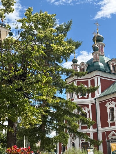 This media file depicts the exterior of a red brick church with green domes and golden crosses against a bright blue sky with scattered white clouds. The church's architecture features white ornate trim around windows and along the roofline. In the foreground, a large tree with lush green foliage, some of which appears variegated with lighter green or white, partially obscures the view of the church. The tree's branches are thick and spread widely. The overall scene suggests it is daytime, with clear, sunny weather. The low angle of the shot emphasizes the towering presence of both the church and the tree. The location is identified as Pereslavl-Zalessky, Russia. There is no discernible activity or event taking place, and no text is clearly visible.