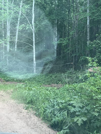 The image shows a view from a vehicle, likely a car, looking towards a forest. The forest appears to be composed of tall, thin birch trees with white bark and green foliage. There is a hazy or misty effect, possibly due to moisture or light conditions. A dirt or sandy shoulder is visible on the right side of the image. No people are visible. The location is given as Korovino, Russia.