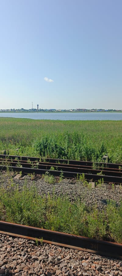The image depicts a scene of railroad tracks in Makushino, Russia. In the foreground, weathered railroad tracks rest on a bed of gravel and are overgrown with green grass. Beyond the tracks, a vast expanse of tall green grass stretches towards a body of water. In the distance, a settlement is visible across the water, characterized by low-rise buildings and a prominent water tower. The sky above is clear and a pale blue with a single small cloud. The scene conveys a sense of rural tranquility and industrial infrastructure.